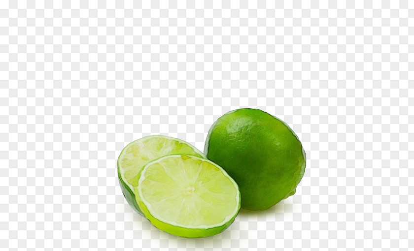 Sweet Lemon Plant Key Lime Persian Fruit Food PNG