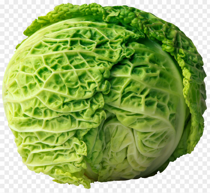 Cabbage The World's Healthiest Foods Eating Health Food Cancer PNG
