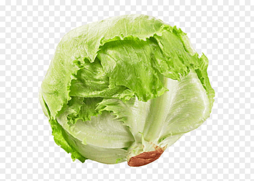 Euro Symbol Transparent Background Romaine Lettuce Seed Iceberg Rijk Zwaan Salad PNG