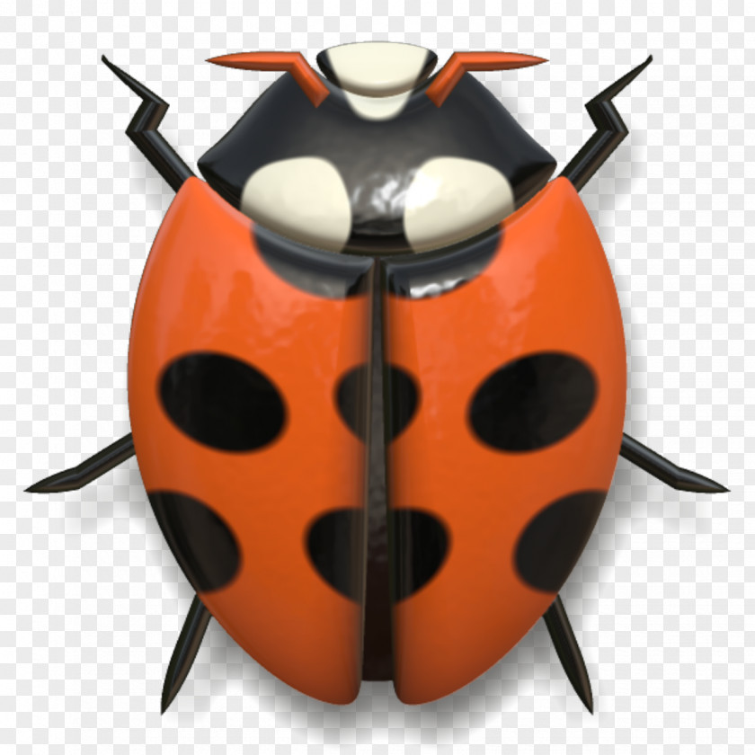 Ladybug Insect Photography Animal PNG