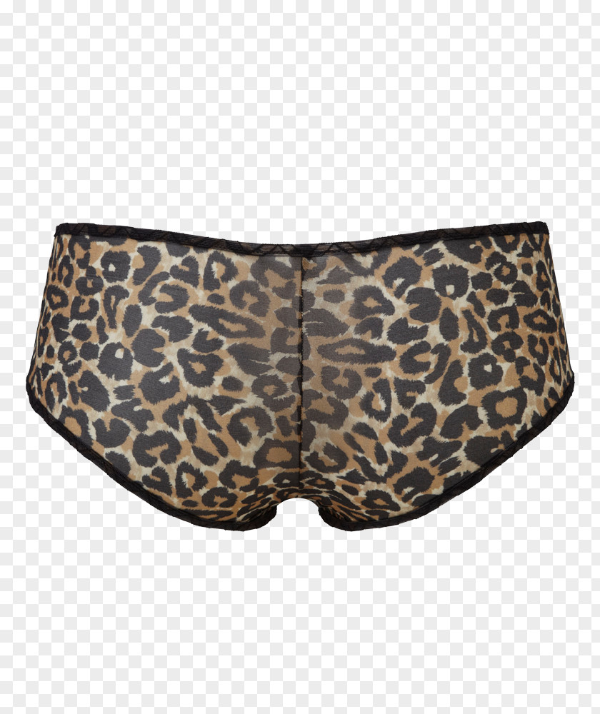 Leopard Swim Briefs Gossard Boyshorts Underpants PNG