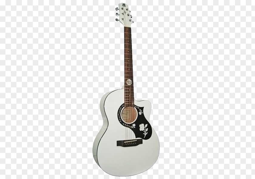 Acoustic Guitar Twelve-string Acoustic-electric Bass PNG