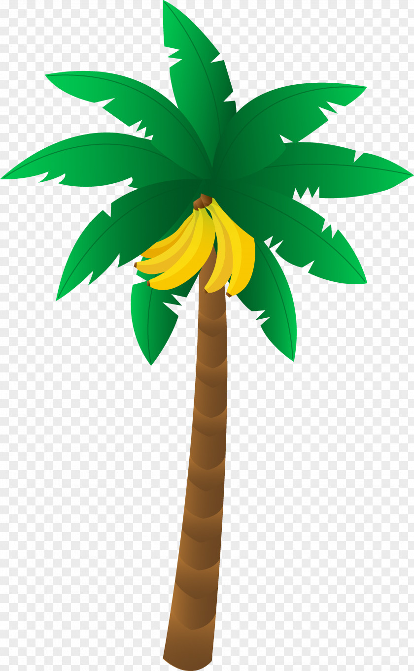 Banana Tree Drawing Leaf Clip Art PNG
