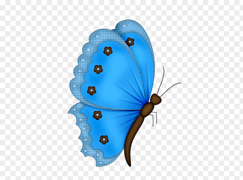 Butterfly Drawing Clip Art PNG