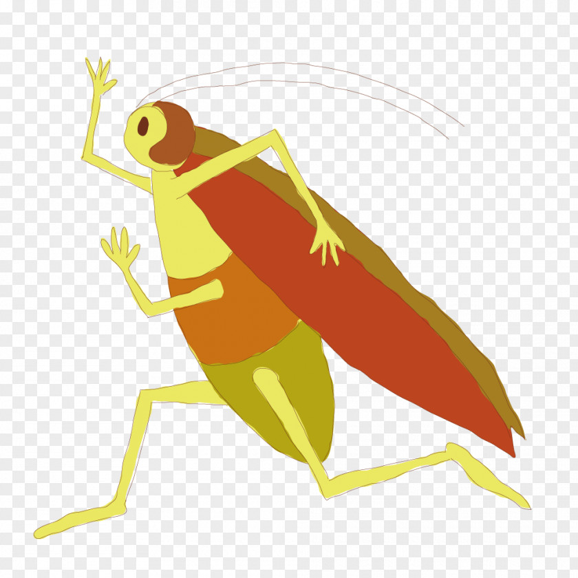 Standing Grasshoppers Cartoon Caelifera Illustration PNG