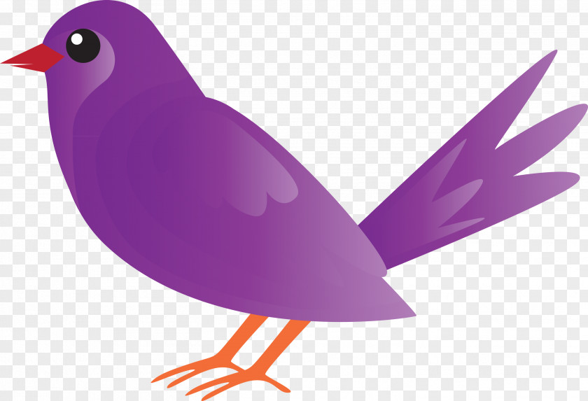 Bird Beak Purple Violet Perching PNG