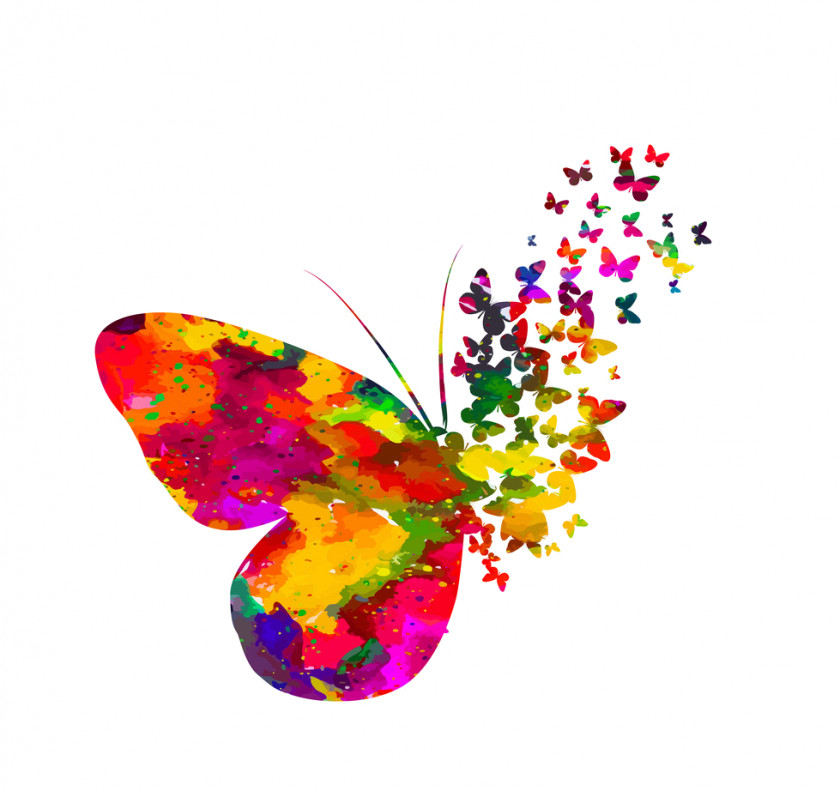 Butterfly Watercolor Painting Tattoo Pupa Vector Graphics PNG
