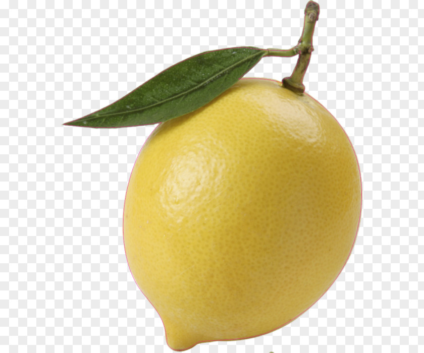 Continental Food Material 27 0 1 Sweet Lemon Citron Persian Lime Meyer PNG