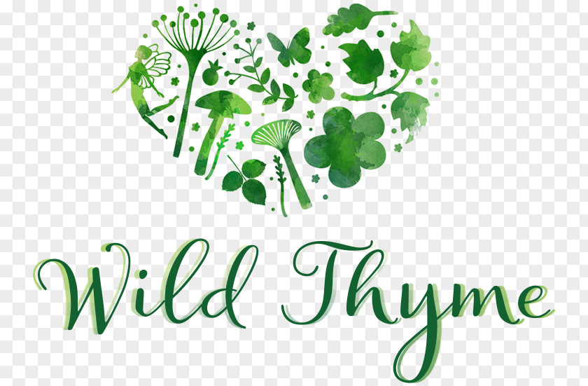 Design Breckland Thyme Logo Brand PNG