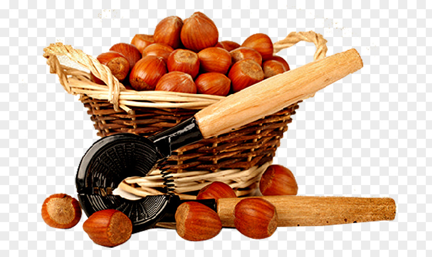 Open Chestnut Tools Chinese Walnut PNG