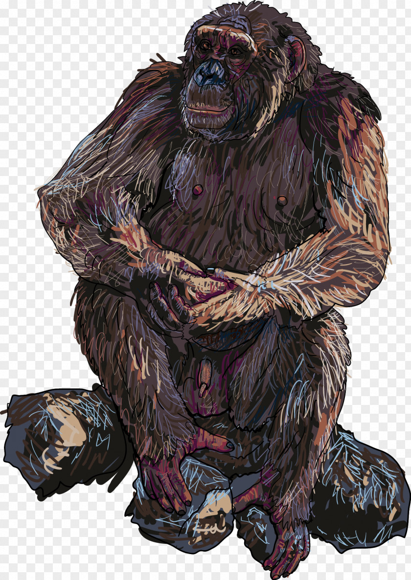 Orangutan Gorilla Animal PNG