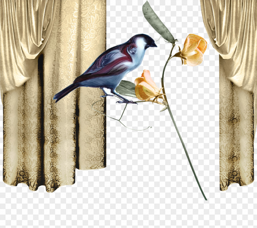 Silk Curtains Theres Someone Inside Your House Curtain Clip Art PNG