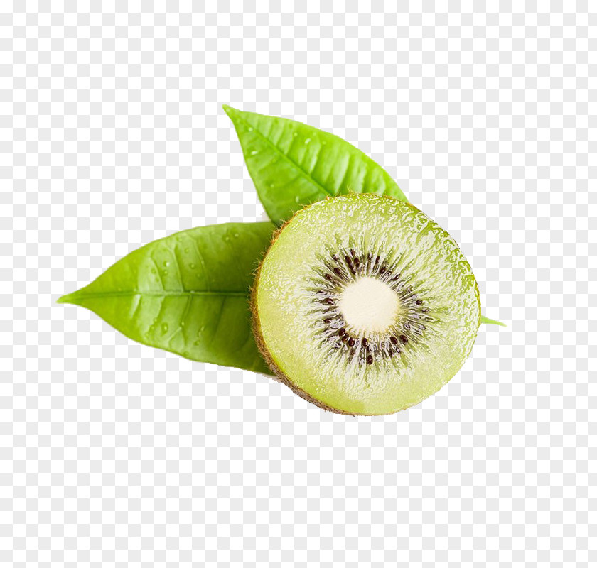 Sliced ​​kiwi Kiwifruit Download Stock Photography PNG