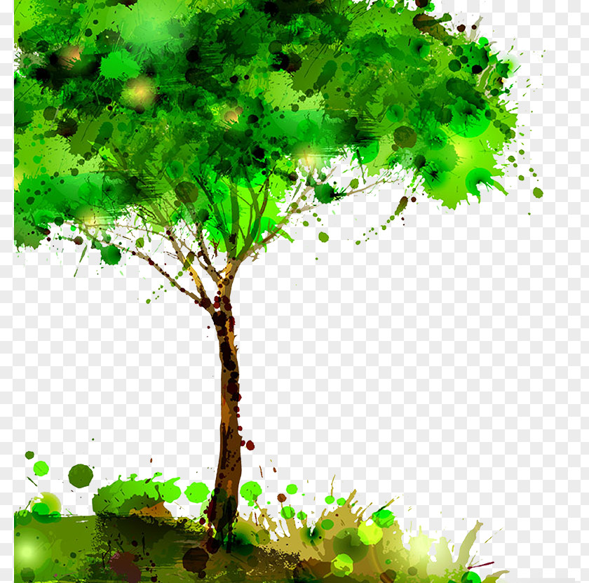 Tree Stock Illustration PNG