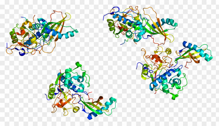 Cathepsin H G Protein Enzyme Inhibitor PNG