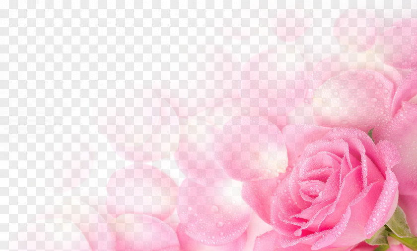 Flying Light Pink Rose Petals PNG light pink rose petals clipart PNG