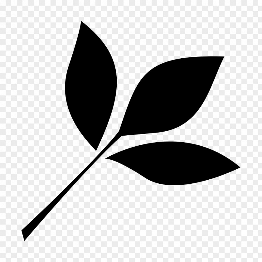 Leaf Clip Art PNG