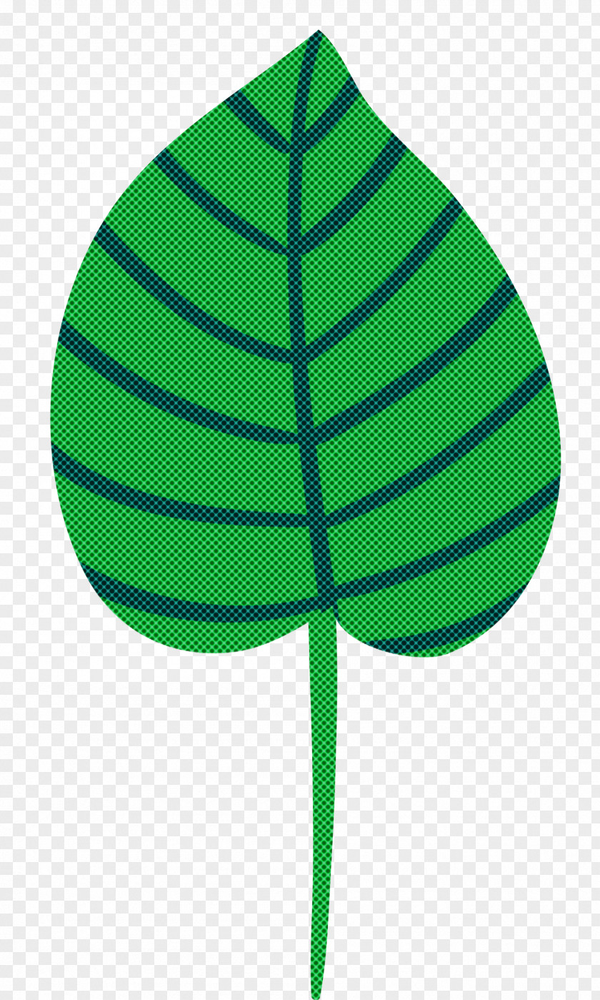 Leaf Plant Stem Photosynthesis Photosynthetic Pigment Petal PNG