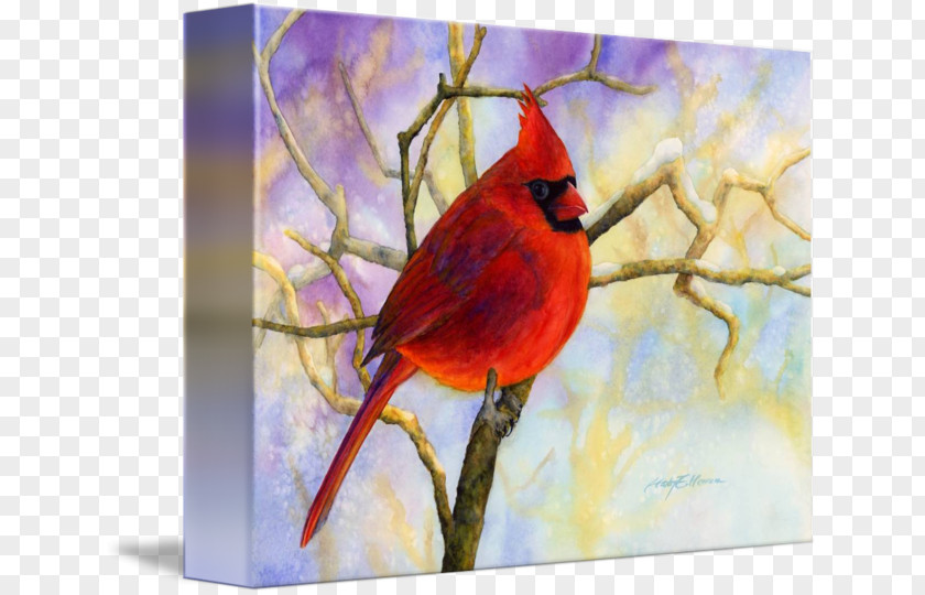 Northern Cardinal Watercolor Painting Acrylic Paint Resin PNG
