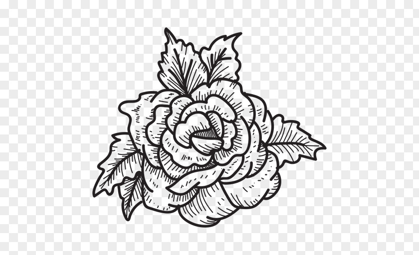 Rose Floral Design Line Art Drawing Sketch PNG