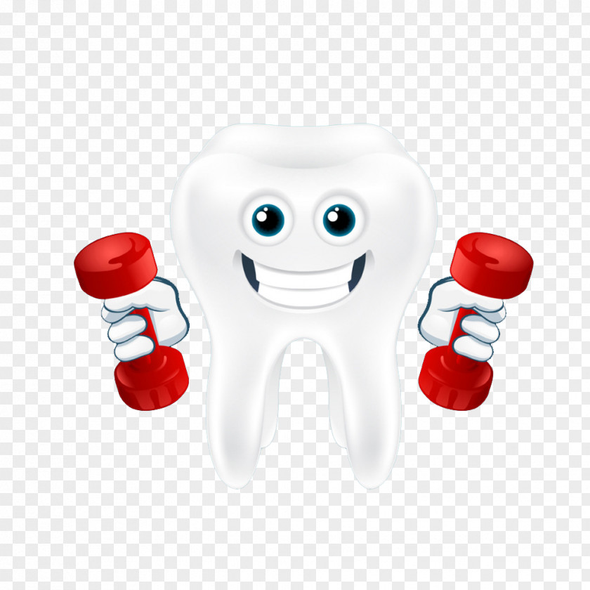 Strong Teeth Tooth Dumbbell Illustration PNG