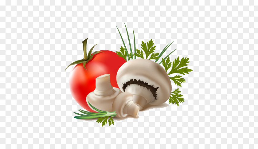 Tomato Mushroom Juice Akiki Frxe8res Fruit Vegetable Food PNG