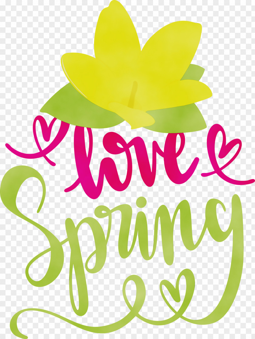 Floral Design PNG