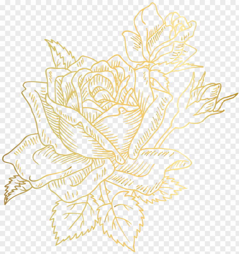 Gold Deco Rose Clip Art Image Floral Design Text Cut Flowers Illustration PNG