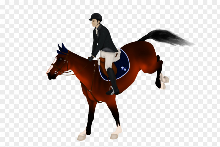 Horse Rider Hunt Seat Equestrian Clip Art PNG