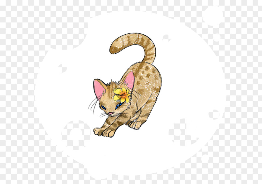 Stretched A Whiskers Cat Paw Cartoon Tail PNG