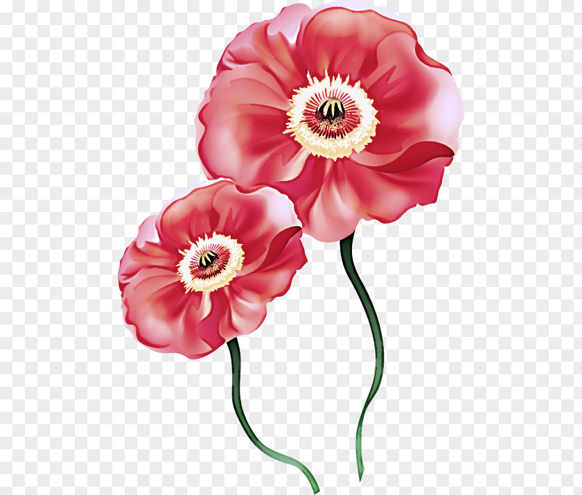 Artificial Flower PNG