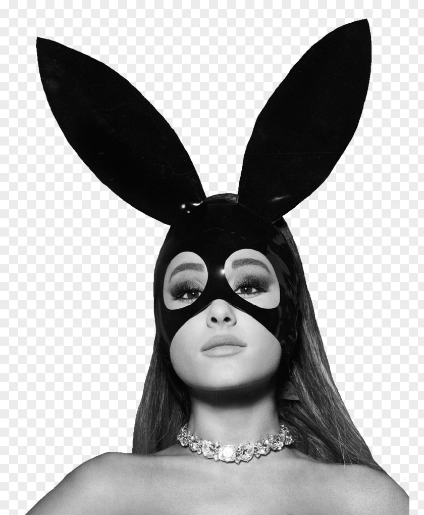 Dangerous Woman Tour Side To Moonlight Music PNG to Music, ariana grande clipart PNG