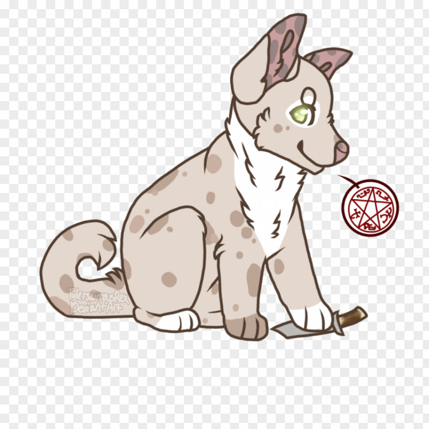 Kitten Whiskers Dog Cat PNG