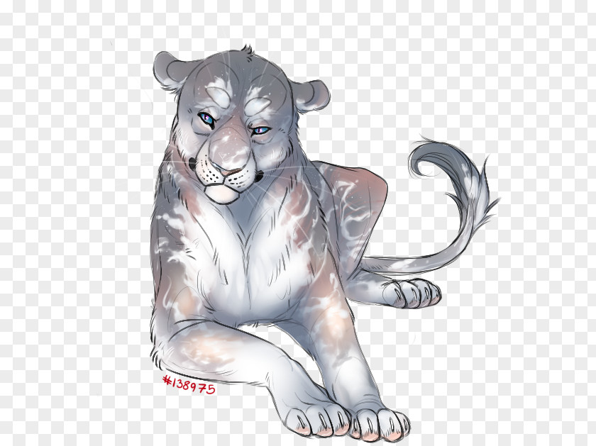 Lion Tiger Whiskers Drawing /m/02csf PNG