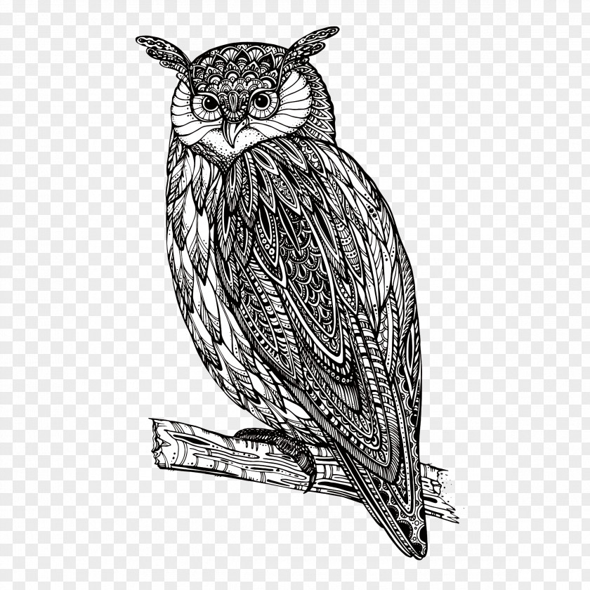Owl Royalty-free PNG