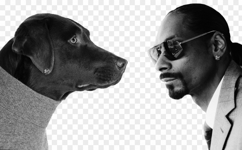 Snoop Dogg Malice N Wonderland Doggystyle Hip Hop Music PNG n hop music, clipart PNG