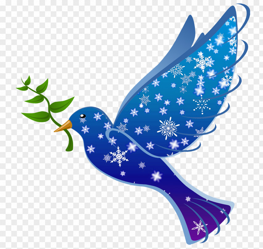 Winter Birds Bird Columbidae Pixabay Illustration PNG