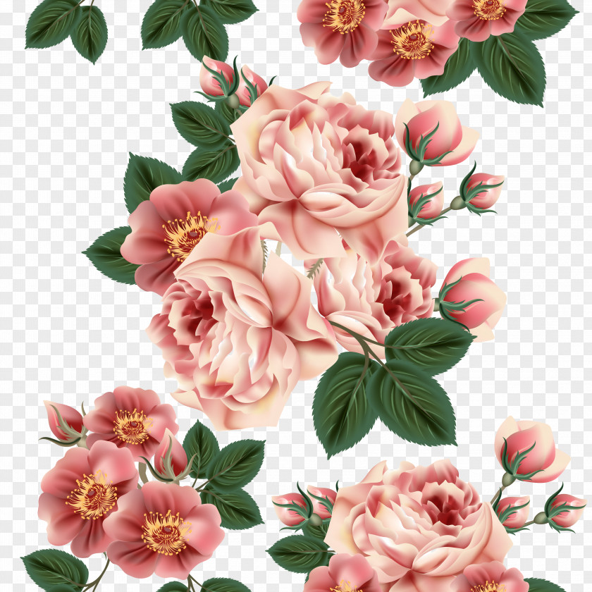 Amazing Painting Plant Centifolia Roses Flower Floral Design Pattern PNG