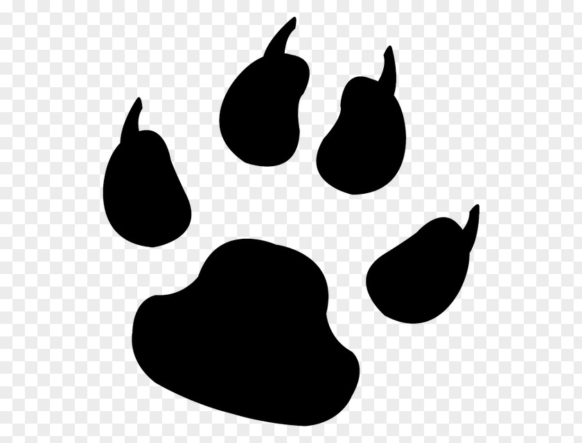 Dog Paw Animal Track Cat Footprint PNG