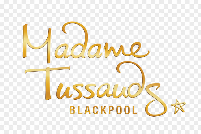 Madame Tussauds Singapore Blackpool Istanbul Wax Museum PNG