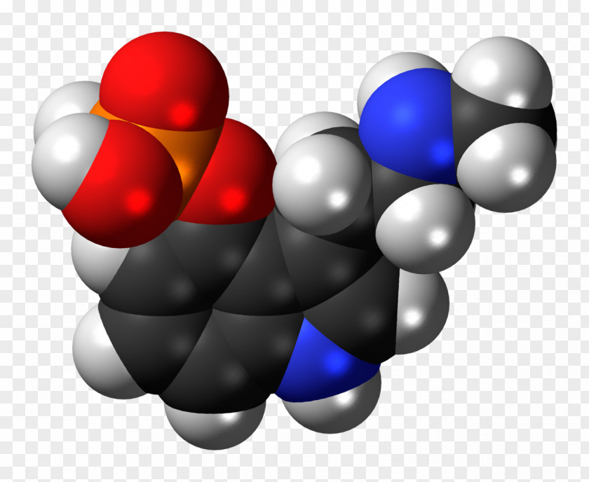 Mushroom Psilocybin Chemistry Fungus PNG