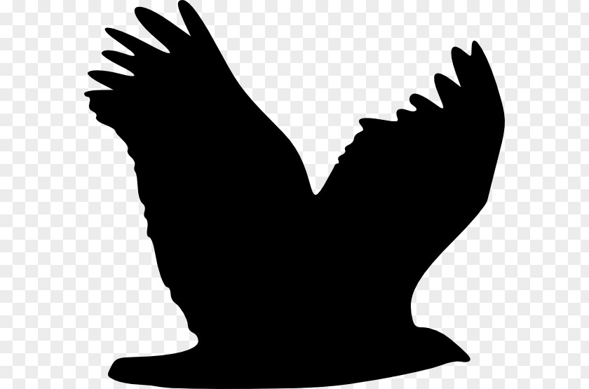 Silhouette Eagle Wing Clip Art PNG