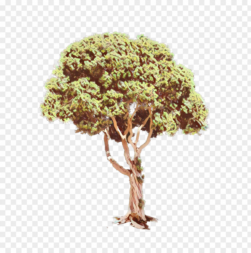 Tree PNG