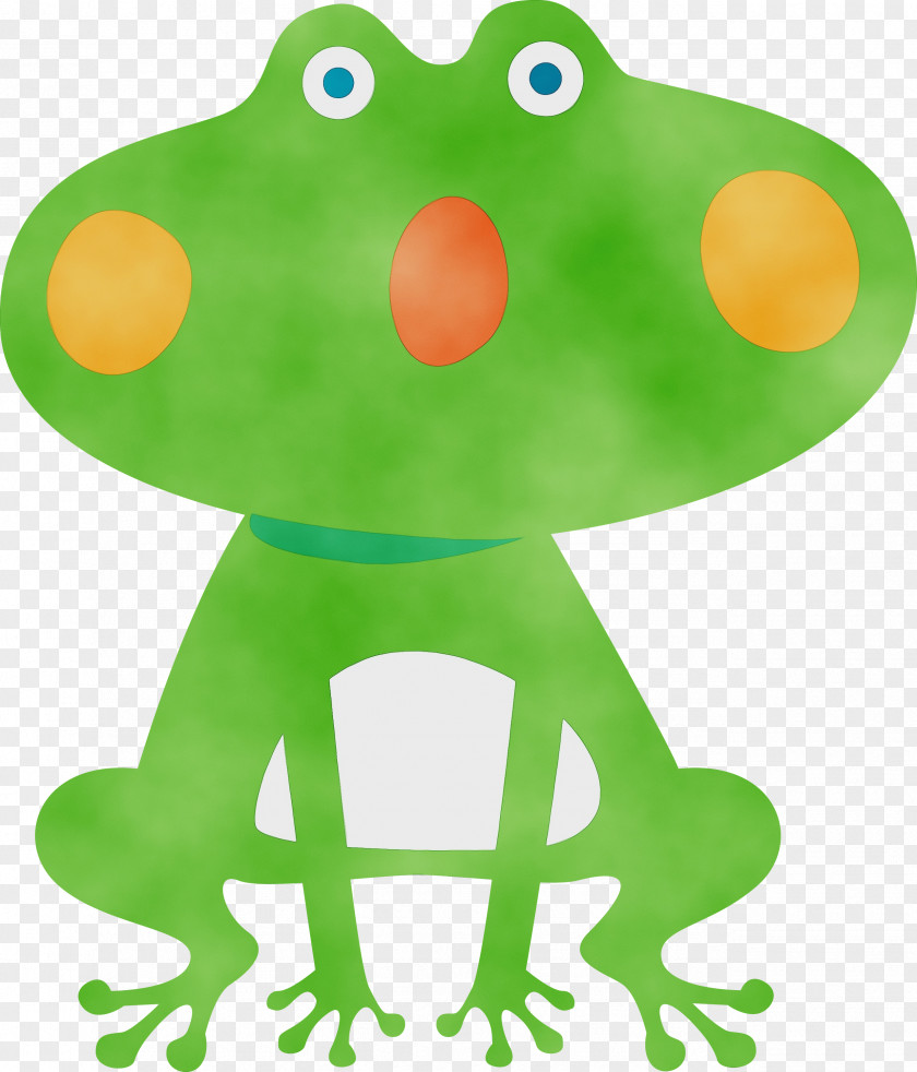 True Frog Tree Frogs Cartoon Toad PNG