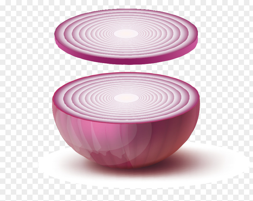 Vector Onions Purple Download Onion PNG