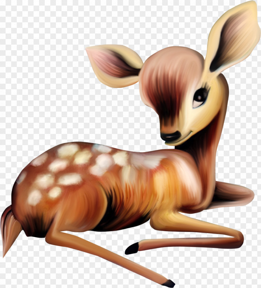 Deer White-tailed Mother Clip Art PNG