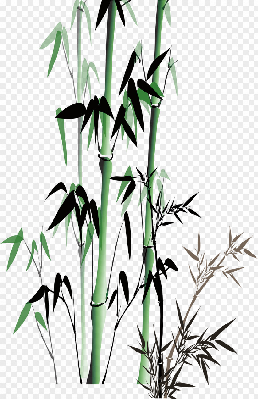 Green Bamboo Bamboe PNG