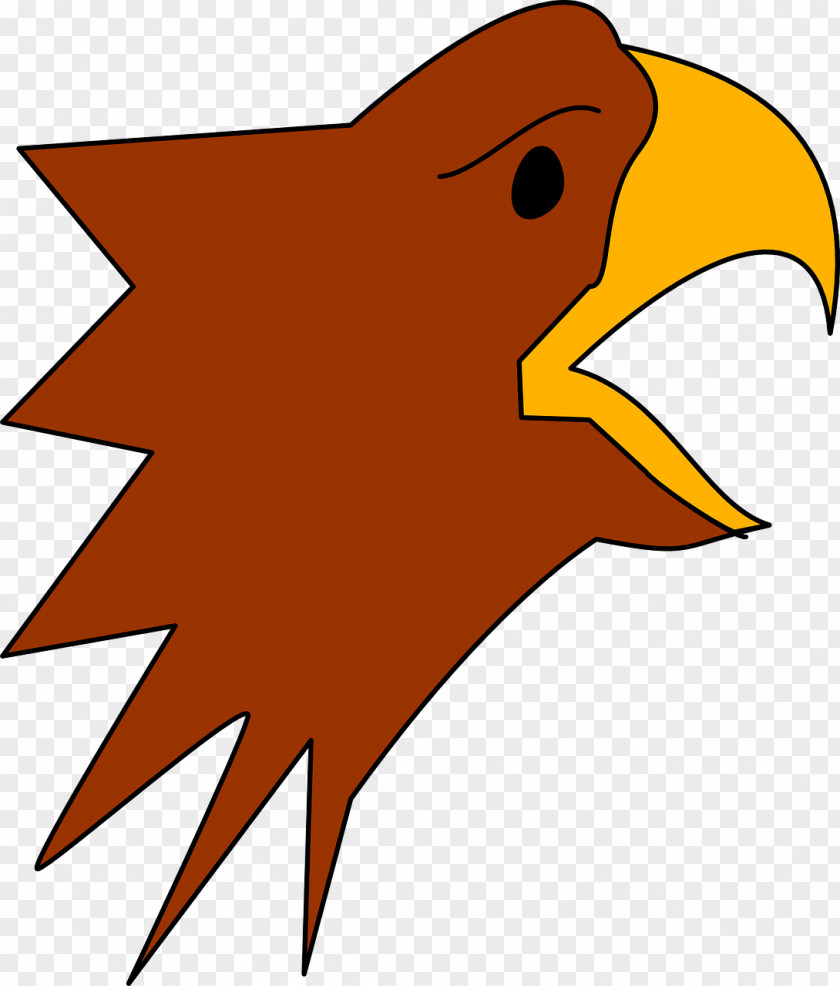 Head Cartoon Eagle Drawing Clip Art PNG