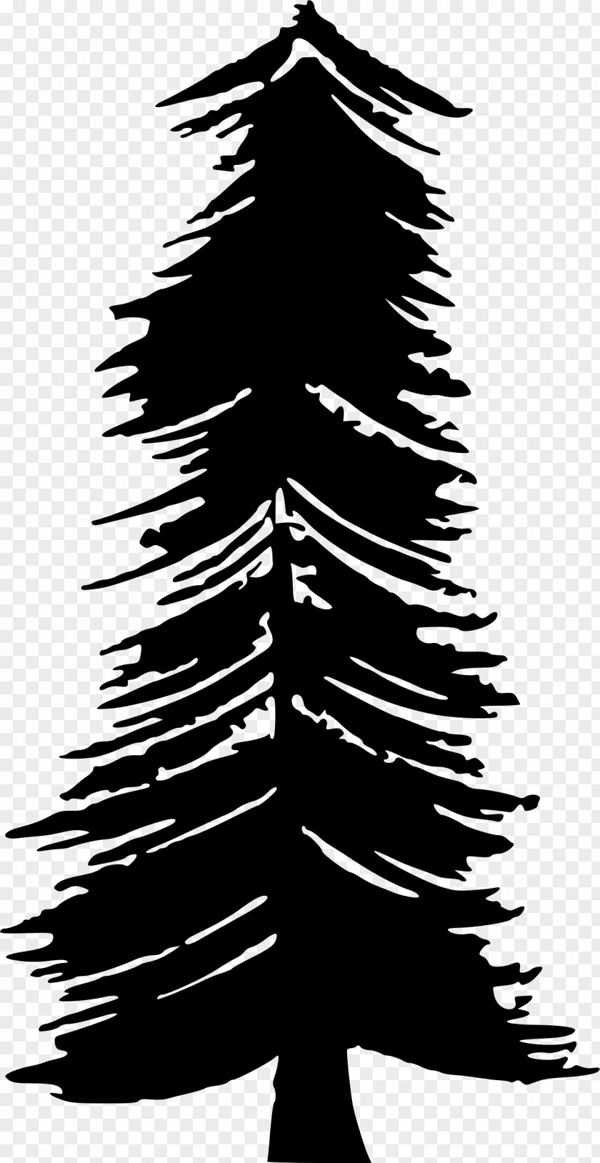 Pine Tree Desktop Wallpaper T-shirt Christmas Clip Art PNG