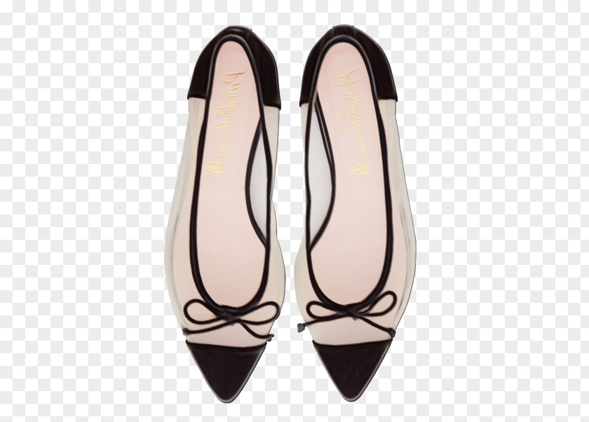 Sandal Shoe PNG